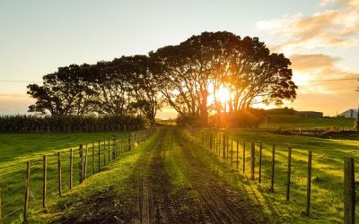 Nyd naturen på en klimavenlig måde – spil golf